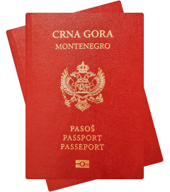 Гражданство Черногории за инвестиции в недвижимость